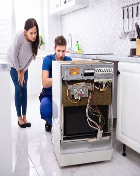 Dishwasher Servicing